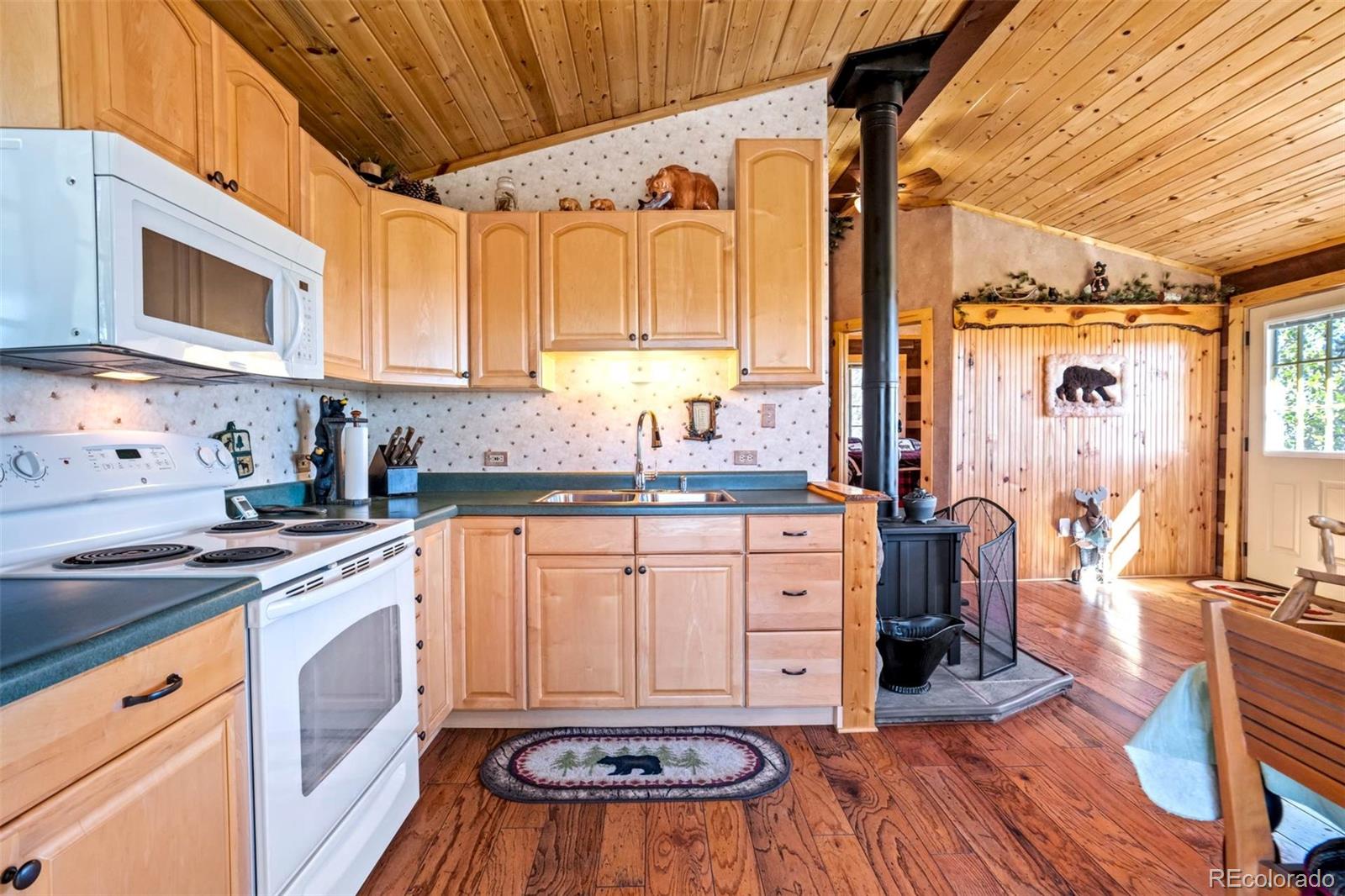MLS Image #13 for 189  saddle lane,lake george, Colorado