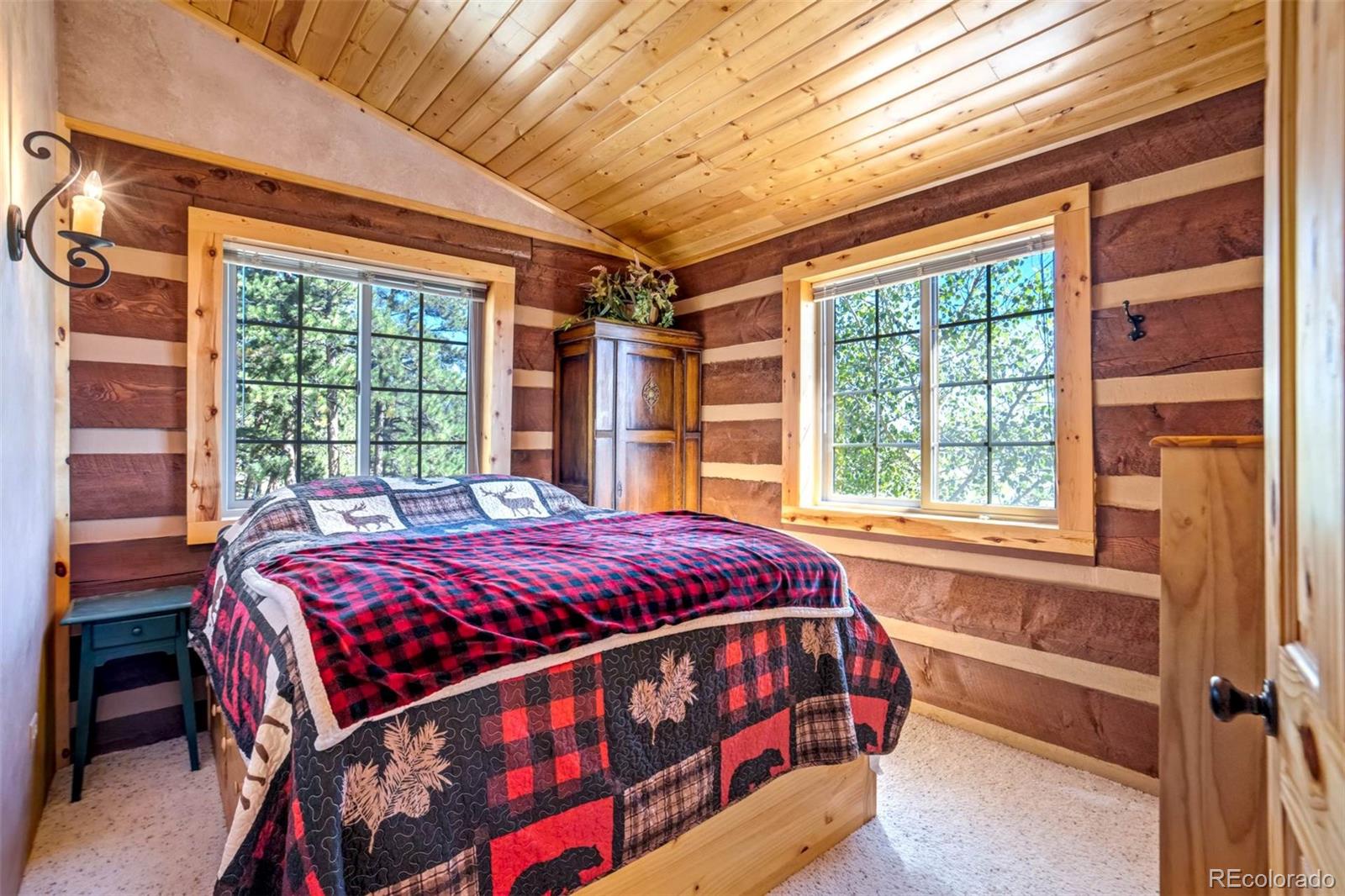 MLS Image #14 for 189  saddle lane,lake george, Colorado