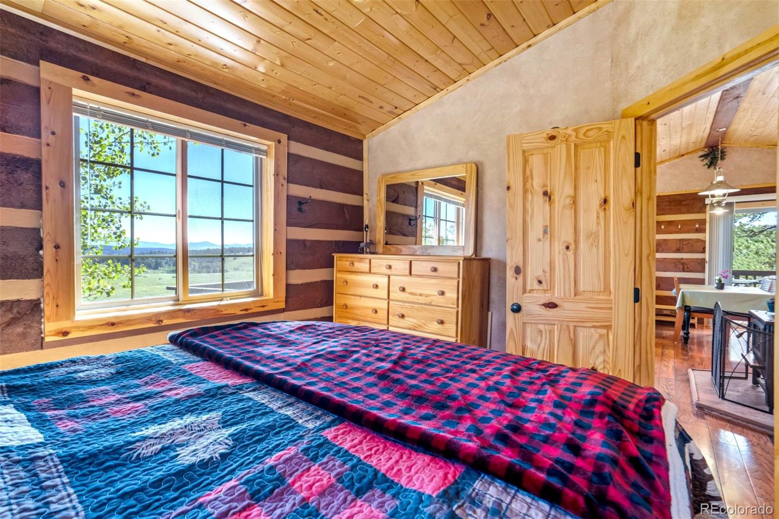 MLS Image #15 for 189  saddle lane,lake george, Colorado