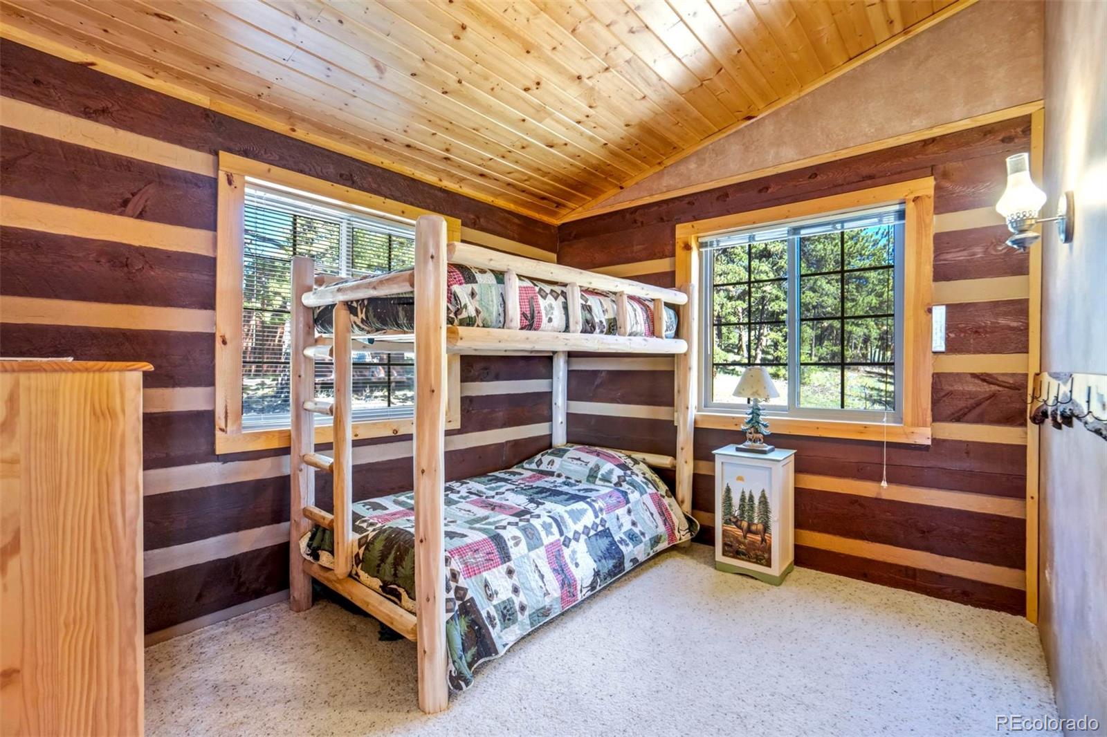 MLS Image #16 for 189  saddle lane,lake george, Colorado