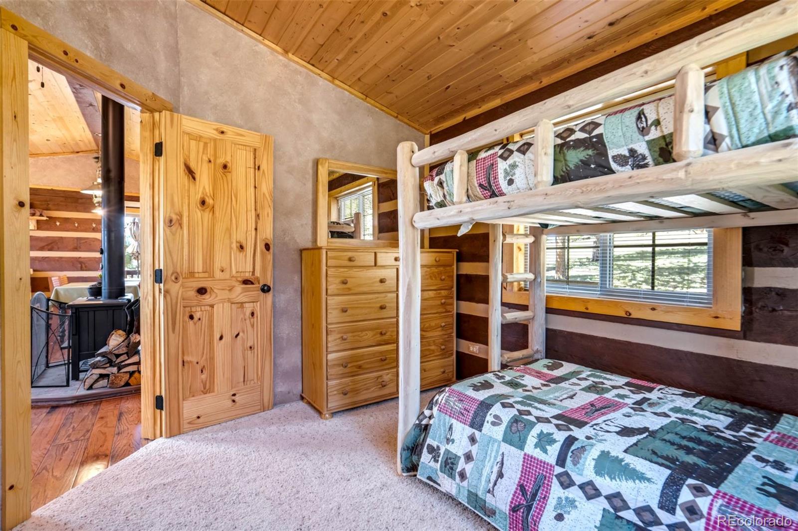 MLS Image #17 for 189  saddle lane,lake george, Colorado