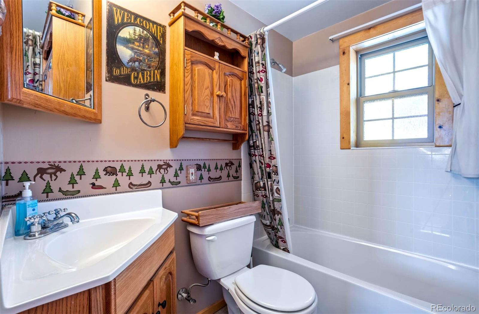 MLS Image #18 for 189  saddle lane,lake george, Colorado