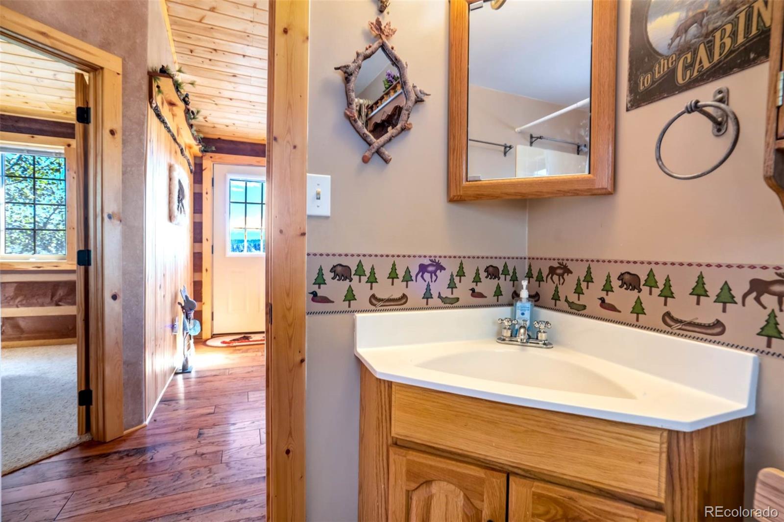 MLS Image #19 for 189  saddle lane,lake george, Colorado