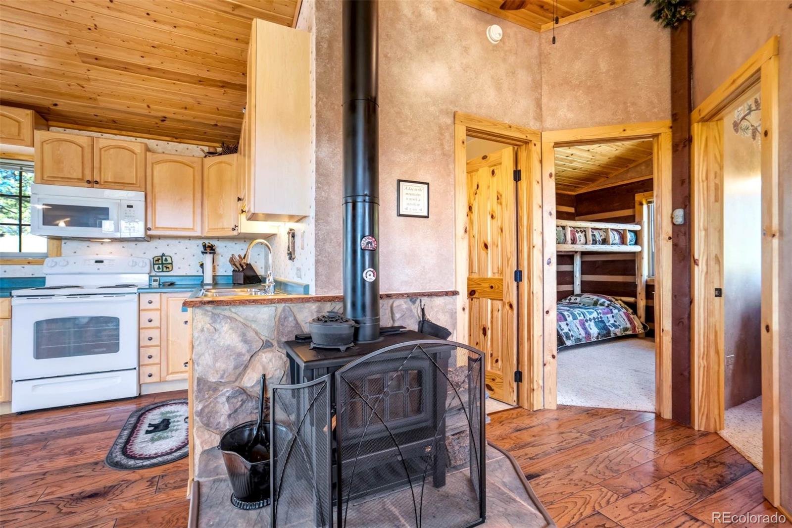 MLS Image #20 for 189  saddle lane,lake george, Colorado