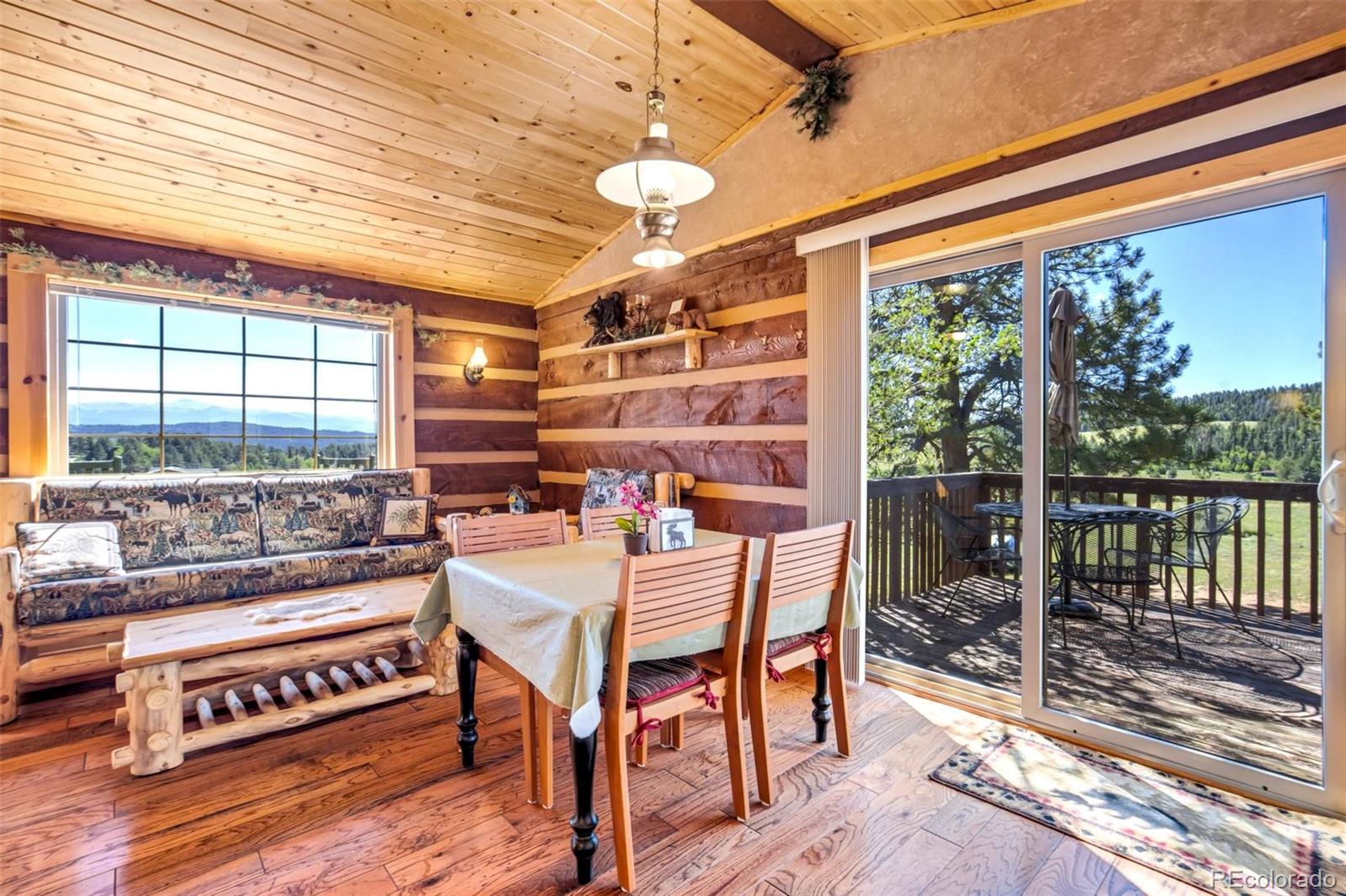 MLS Image #21 for 189  saddle lane,lake george, Colorado