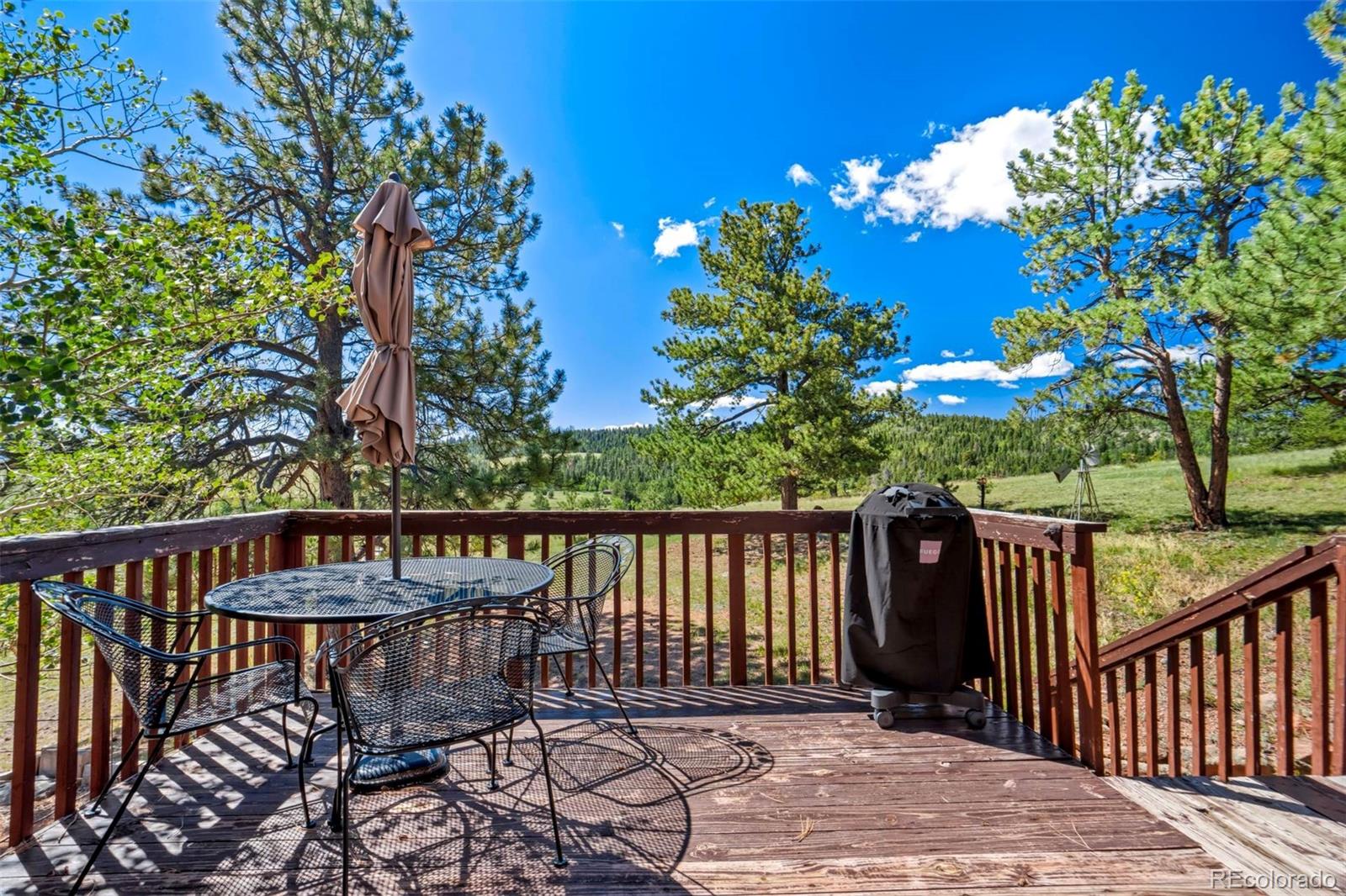 MLS Image #23 for 189  saddle lane,lake george, Colorado