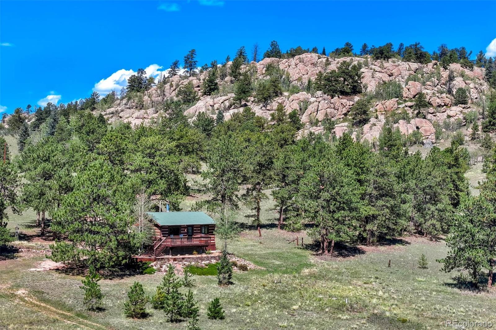 MLS Image #3 for 189  saddle lane,lake george, Colorado