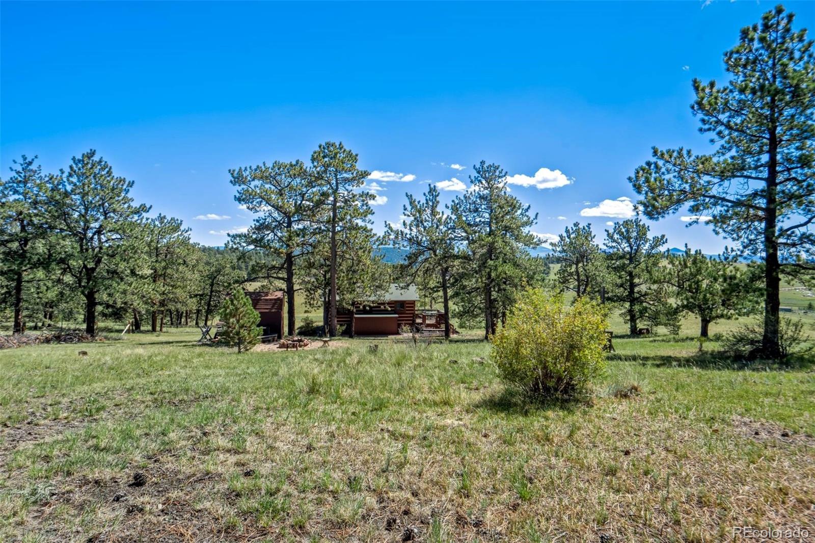 MLS Image #37 for 189  saddle lane,lake george, Colorado