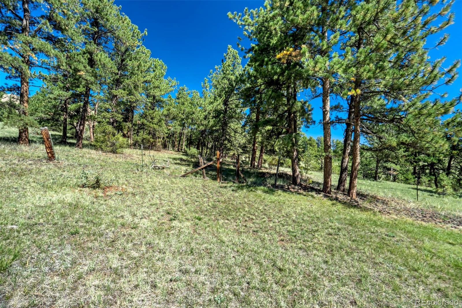 MLS Image #39 for 189  saddle lane,lake george, Colorado