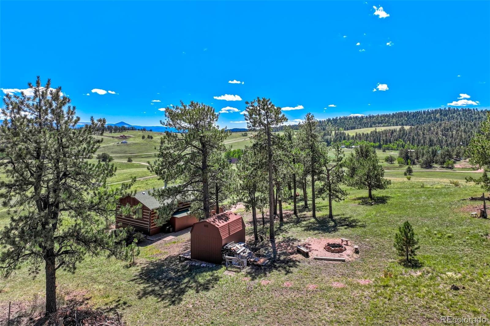 MLS Image #41 for 189  saddle lane,lake george, Colorado