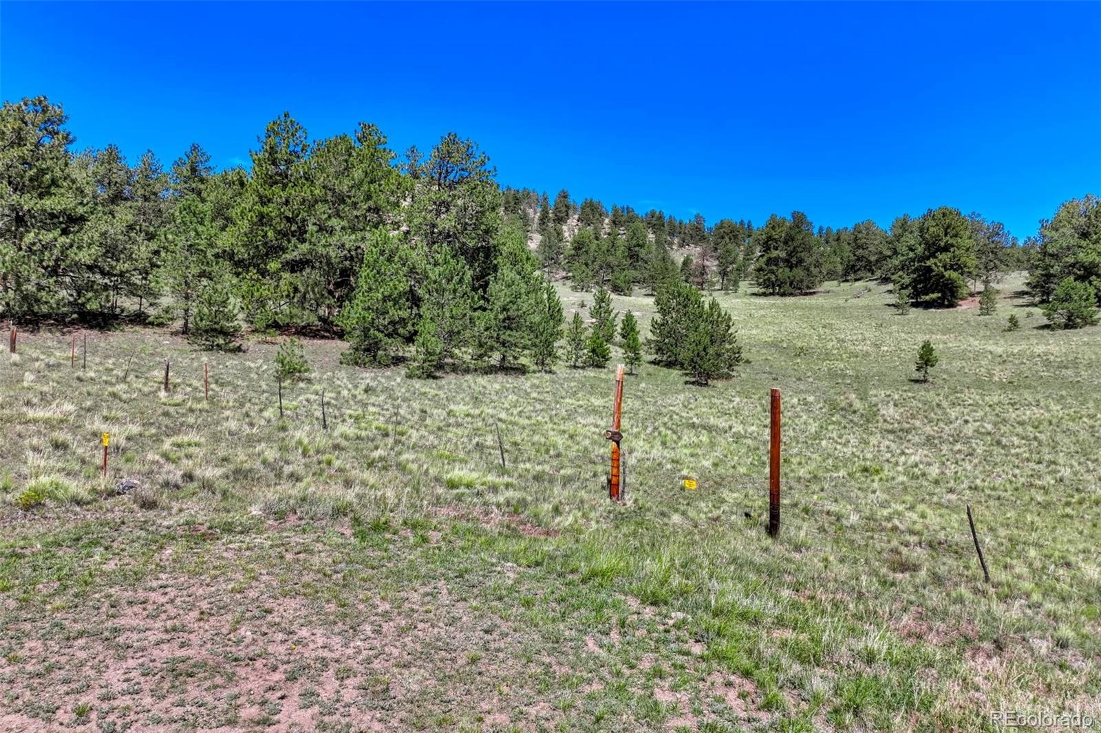 MLS Image #43 for 189  saddle lane,lake george, Colorado