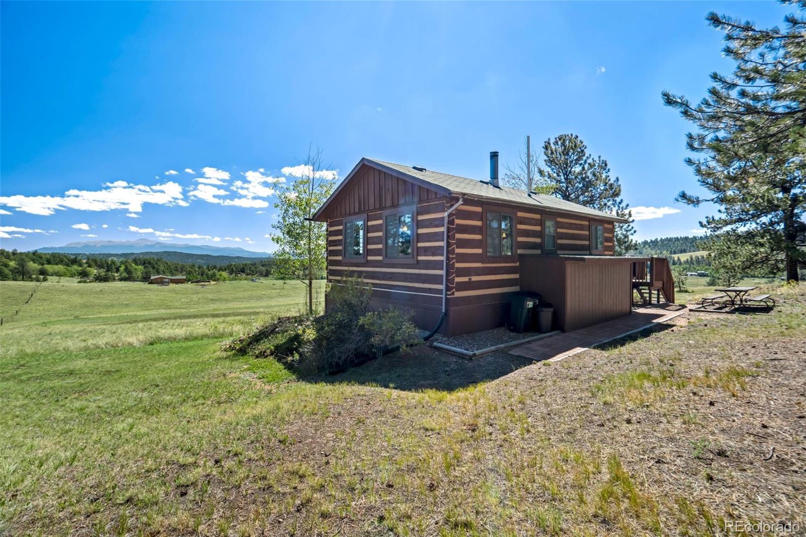 MLS Image #5 for 189  saddle lane,lake george, Colorado