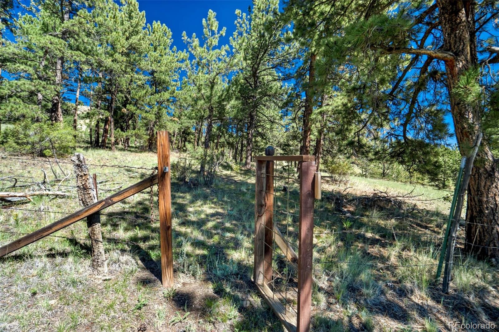 MLS Image #6 for 189  saddle lane,lake george, Colorado