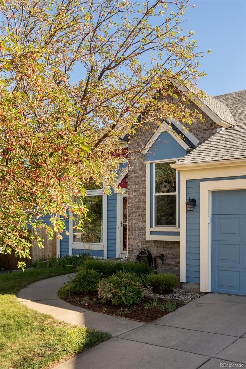 MLS Image #8 for 10432  owens street,broomfield, Colorado