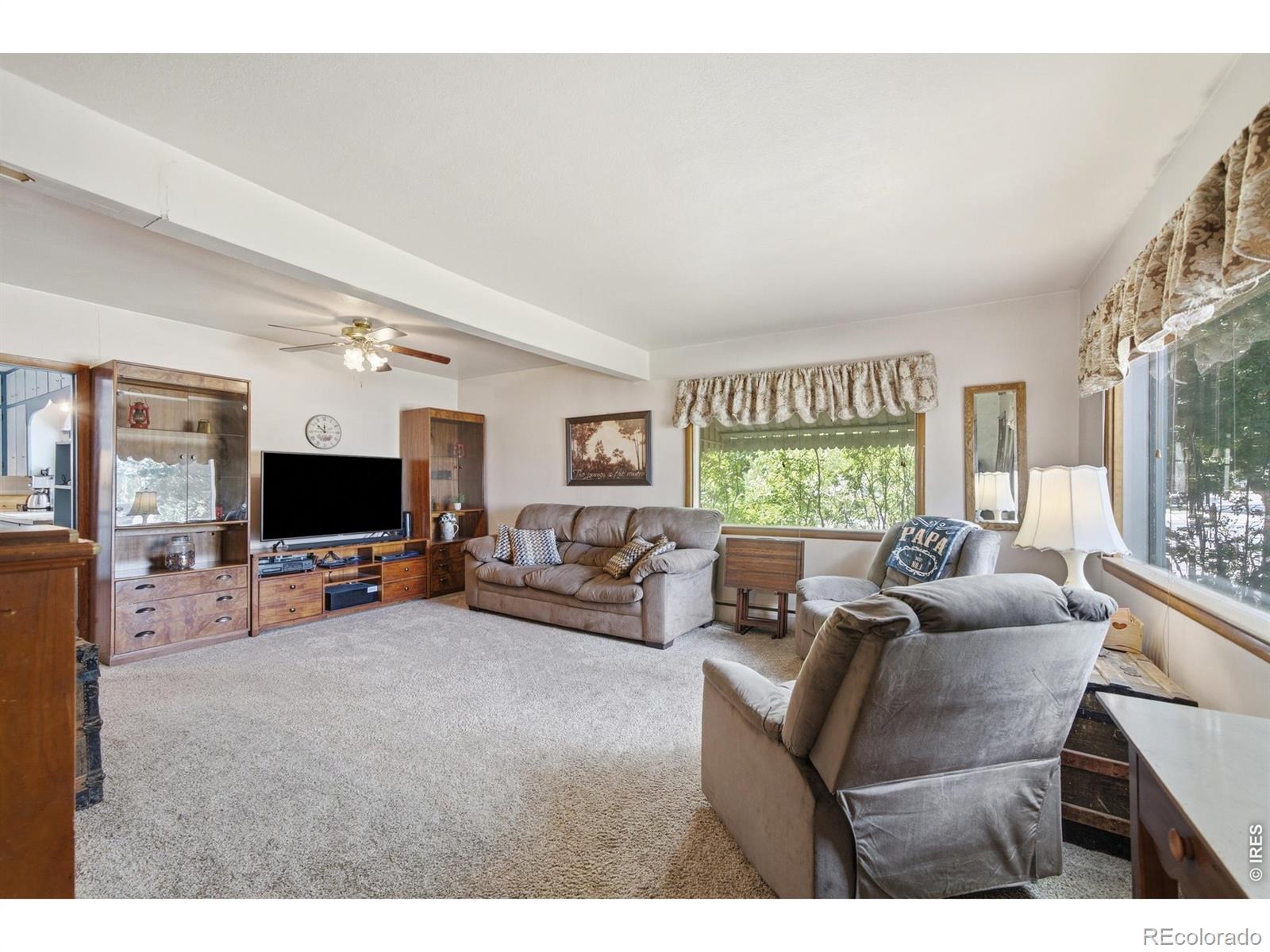 MLS Image #6 for 29  walnut street,windsor, Colorado