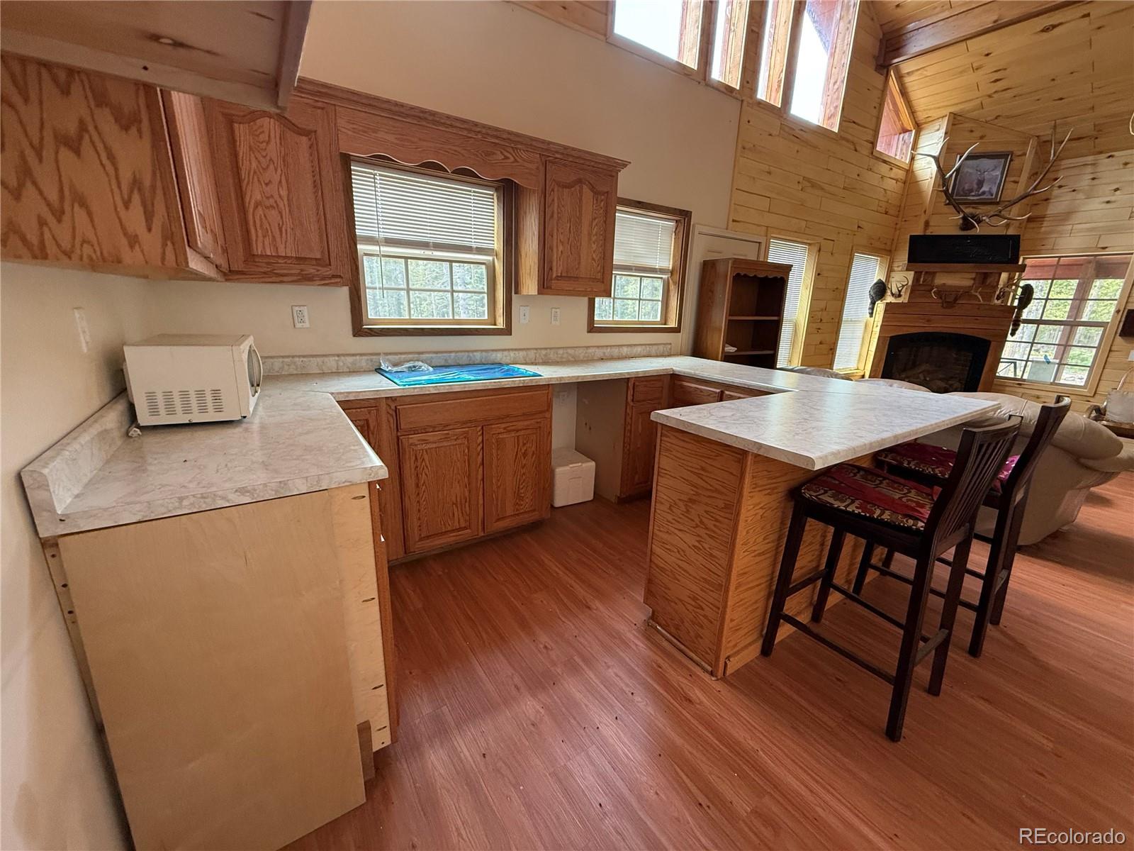 MLS Image #13 for 2704  purnell lane,fort garland, Colorado