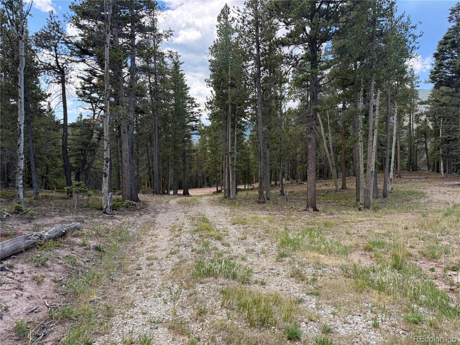 MLS Image #20 for 2704  purnell lane,fort garland, Colorado