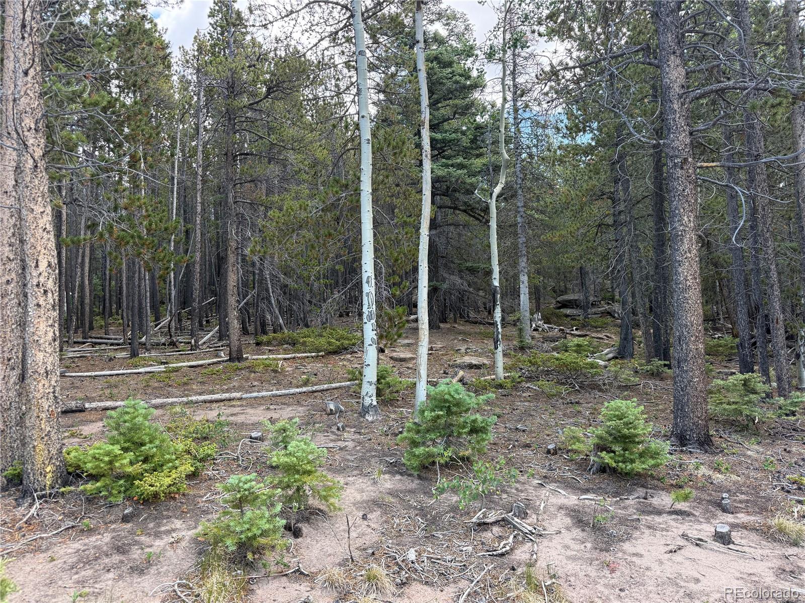 MLS Image #21 for 2704  purnell lane,fort garland, Colorado