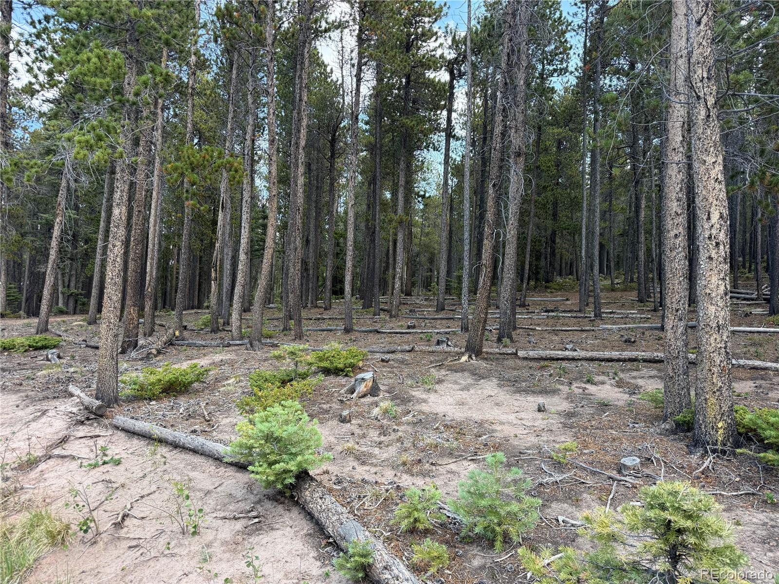MLS Image #22 for 2704  purnell lane,fort garland, Colorado