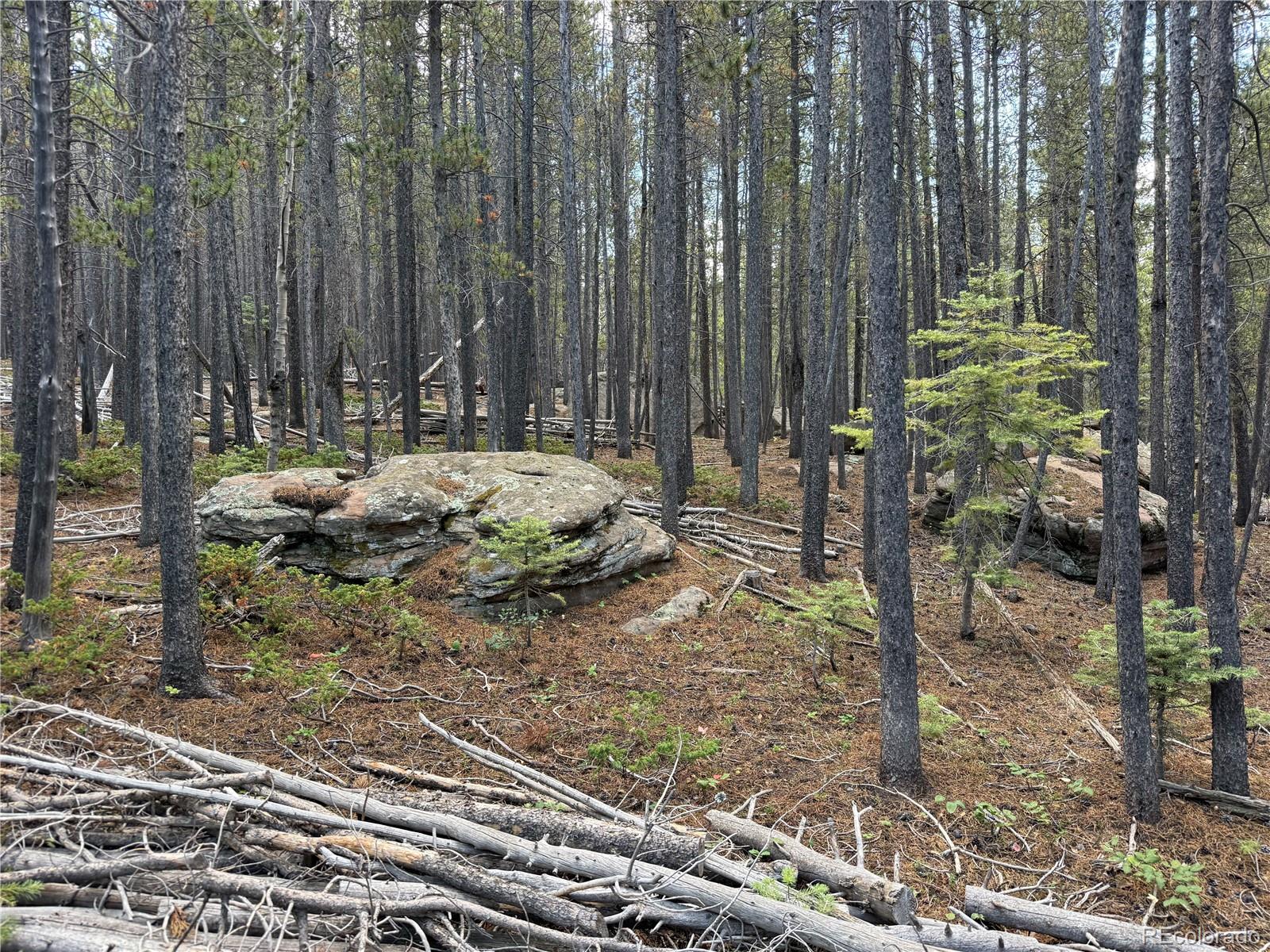 MLS Image #24 for 2704  purnell lane,fort garland, Colorado