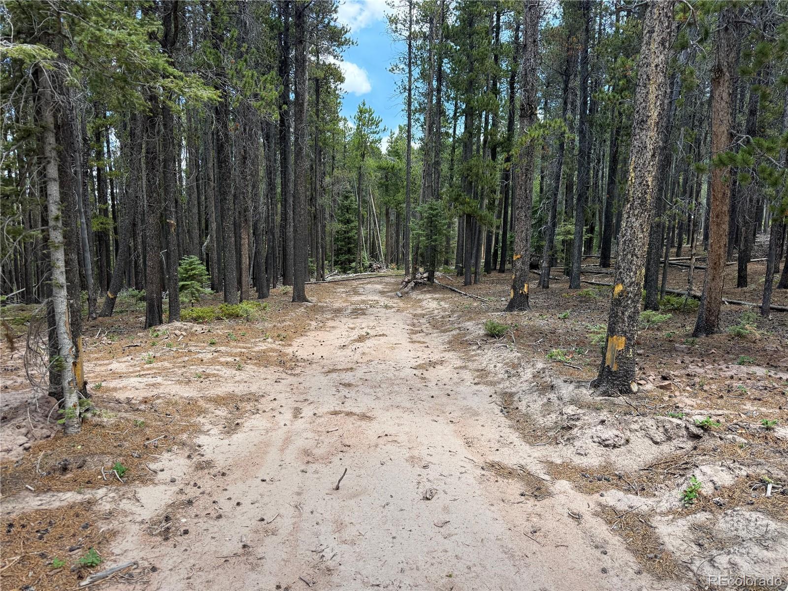MLS Image #25 for 2704  purnell lane,fort garland, Colorado