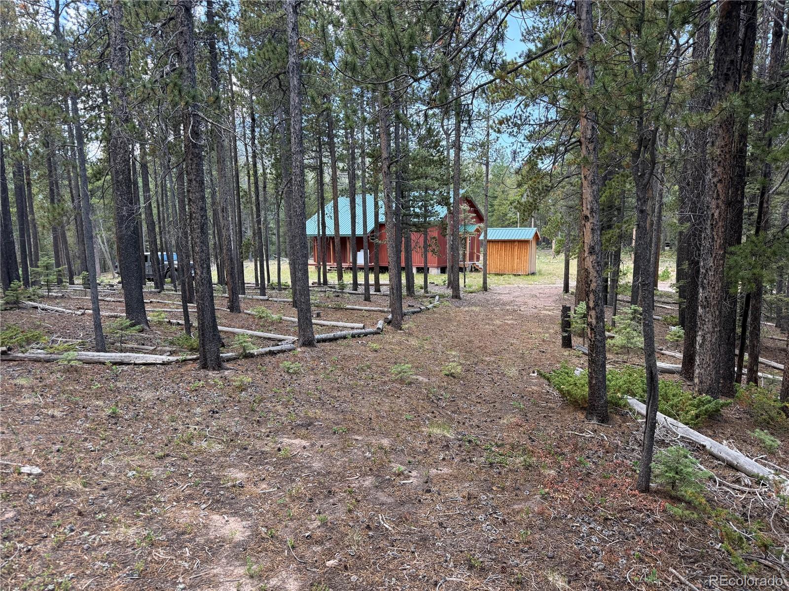 MLS Image #28 for 2704  purnell lane,fort garland, Colorado