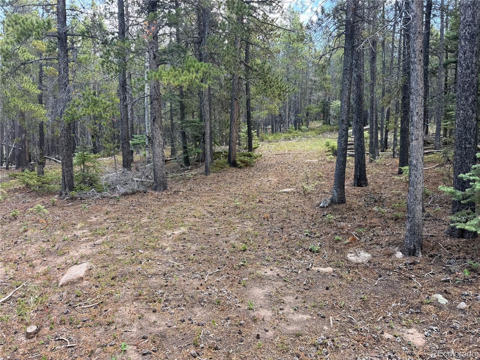 MLS Image #29 for 2704  purnell lane,fort garland, Colorado