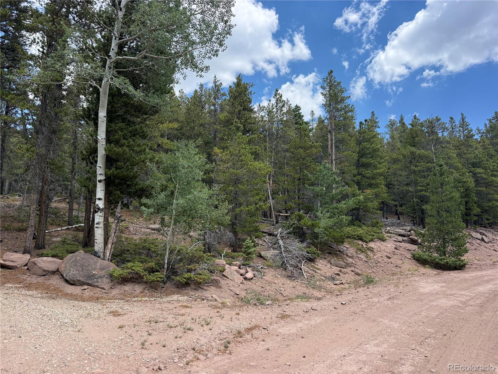 MLS Image #32 for 2704  purnell lane,fort garland, Colorado