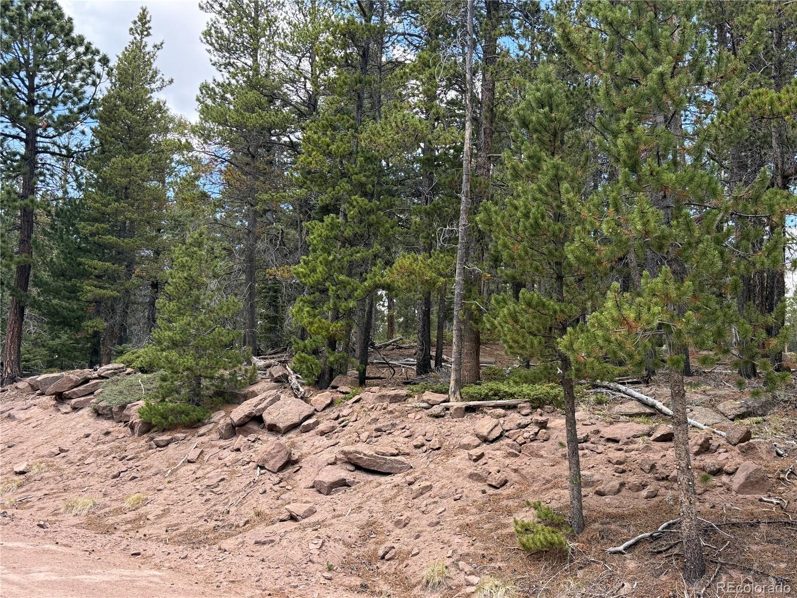 MLS Image #33 for 2704  purnell lane,fort garland, Colorado
