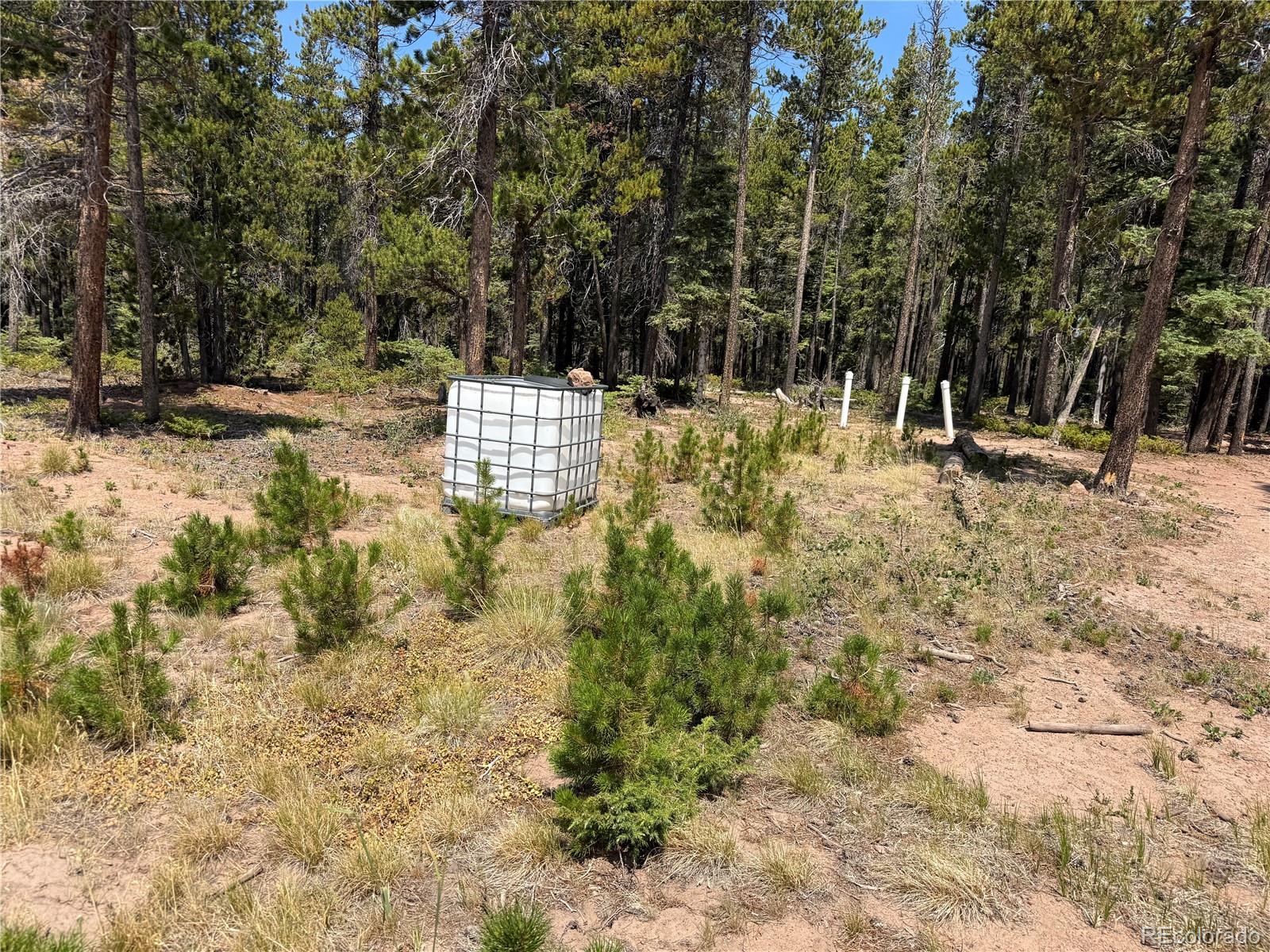MLS Image #4 for 2704  purnell lane,fort garland, Colorado