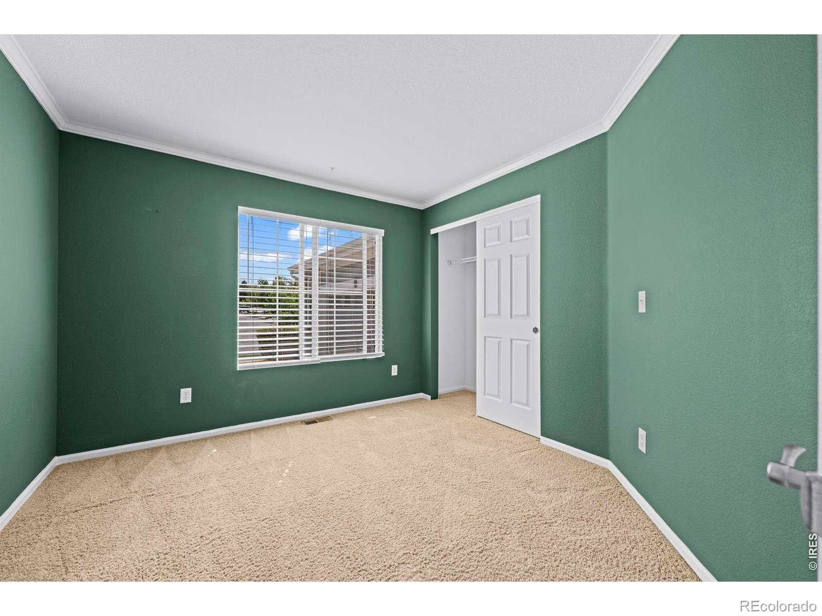 MLS Image #14 for 2023  alpine drive,erie, Colorado