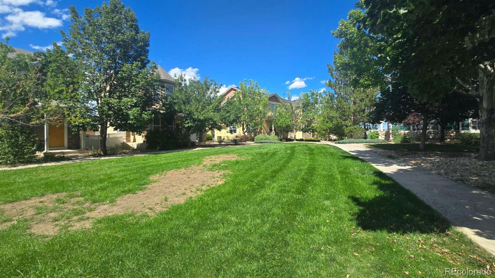 MLS Image #24 for 2434  st paul drive,colorado springs, Colorado