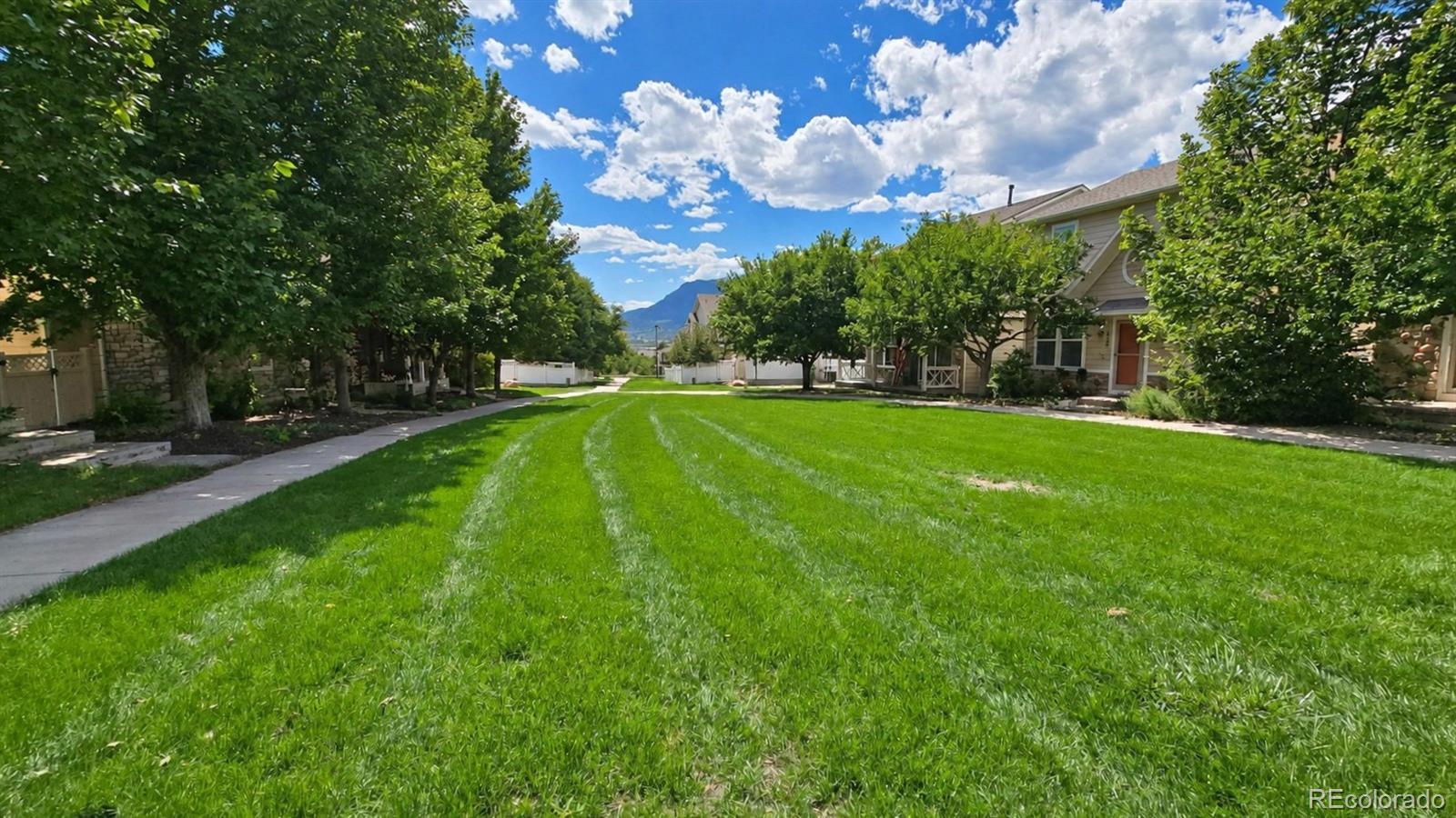 MLS Image #26 for 2434  st paul drive,colorado springs, Colorado