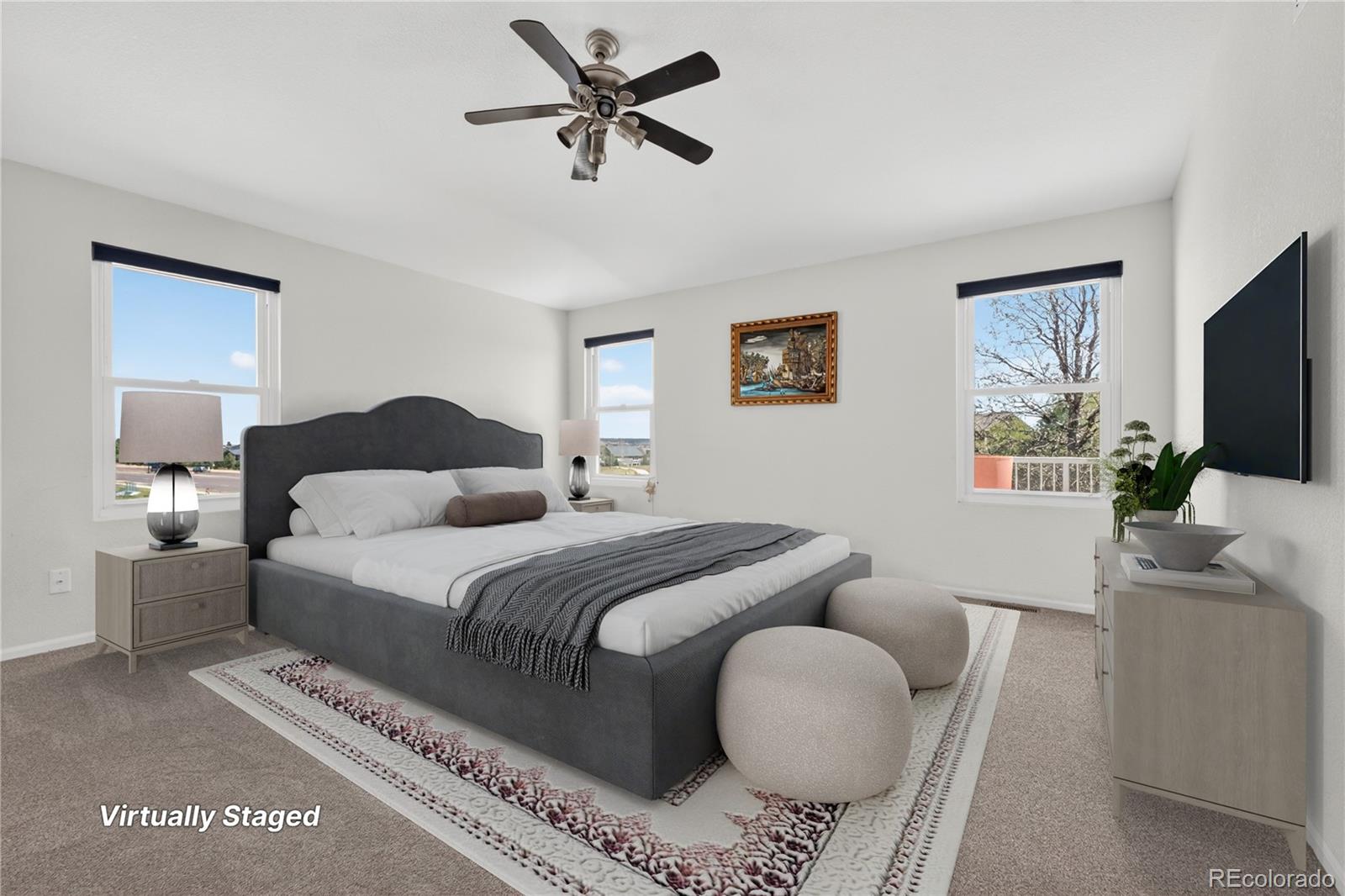 MLS Image #13 for 16745  trail sky circle,parker, Colorado