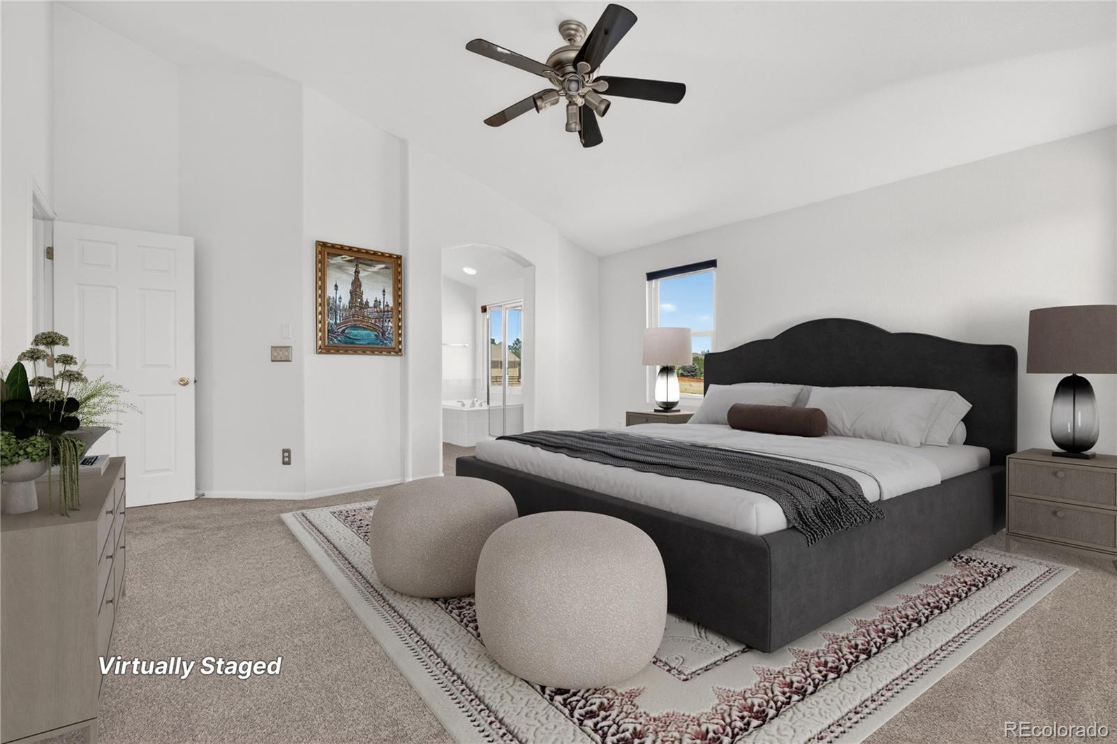 MLS Image #14 for 16745  trail sky circle,parker, Colorado