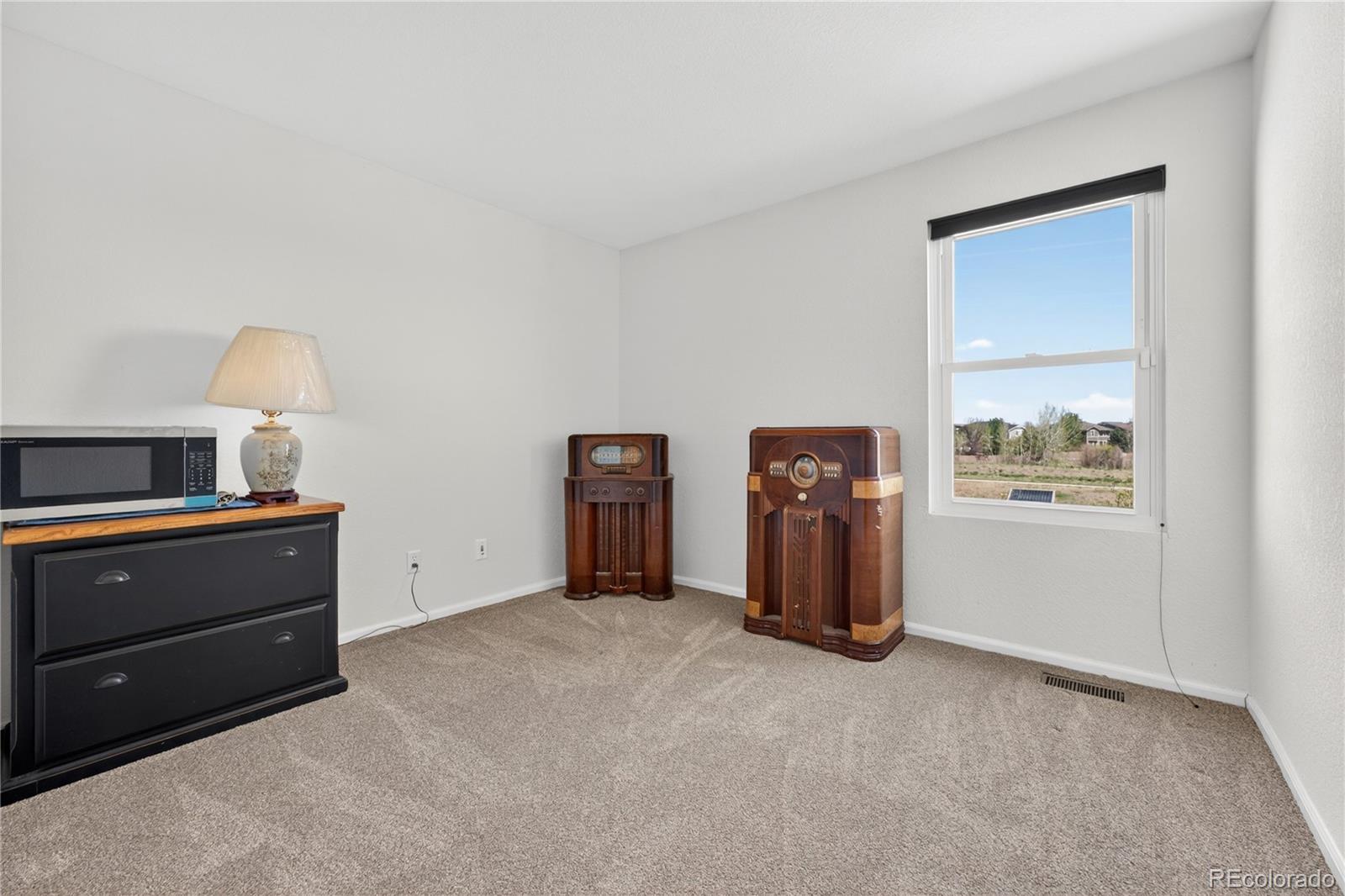 MLS Image #16 for 16745  trail sky circle,parker, Colorado