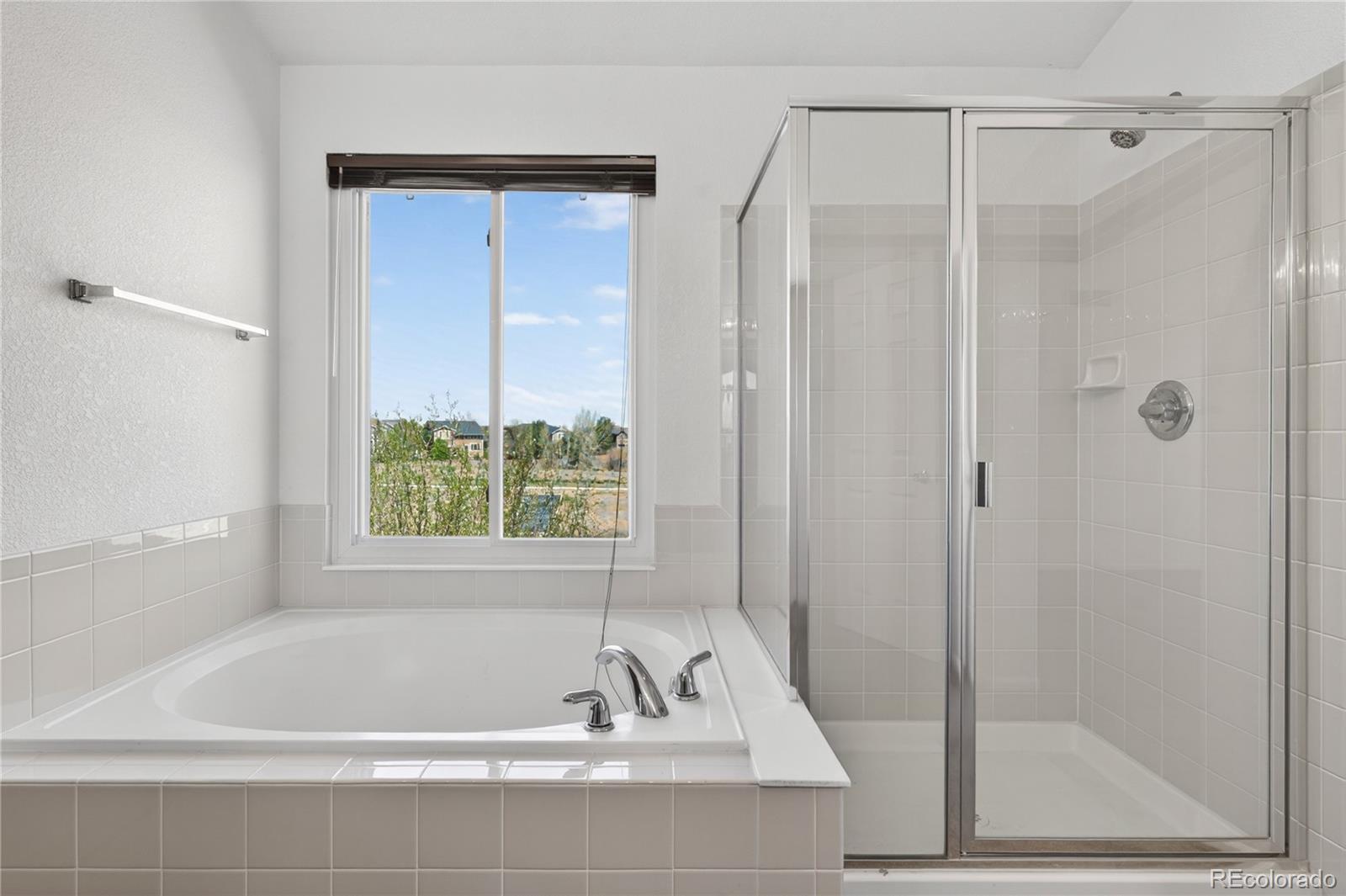 MLS Image #20 for 16745  trail sky circle,parker, Colorado