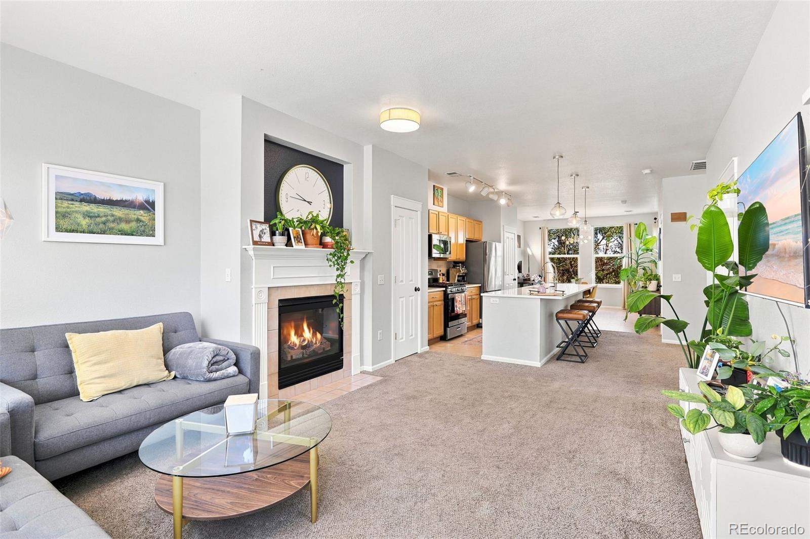 MLS Image #6 for 1686  ames court,lakewood, Colorado