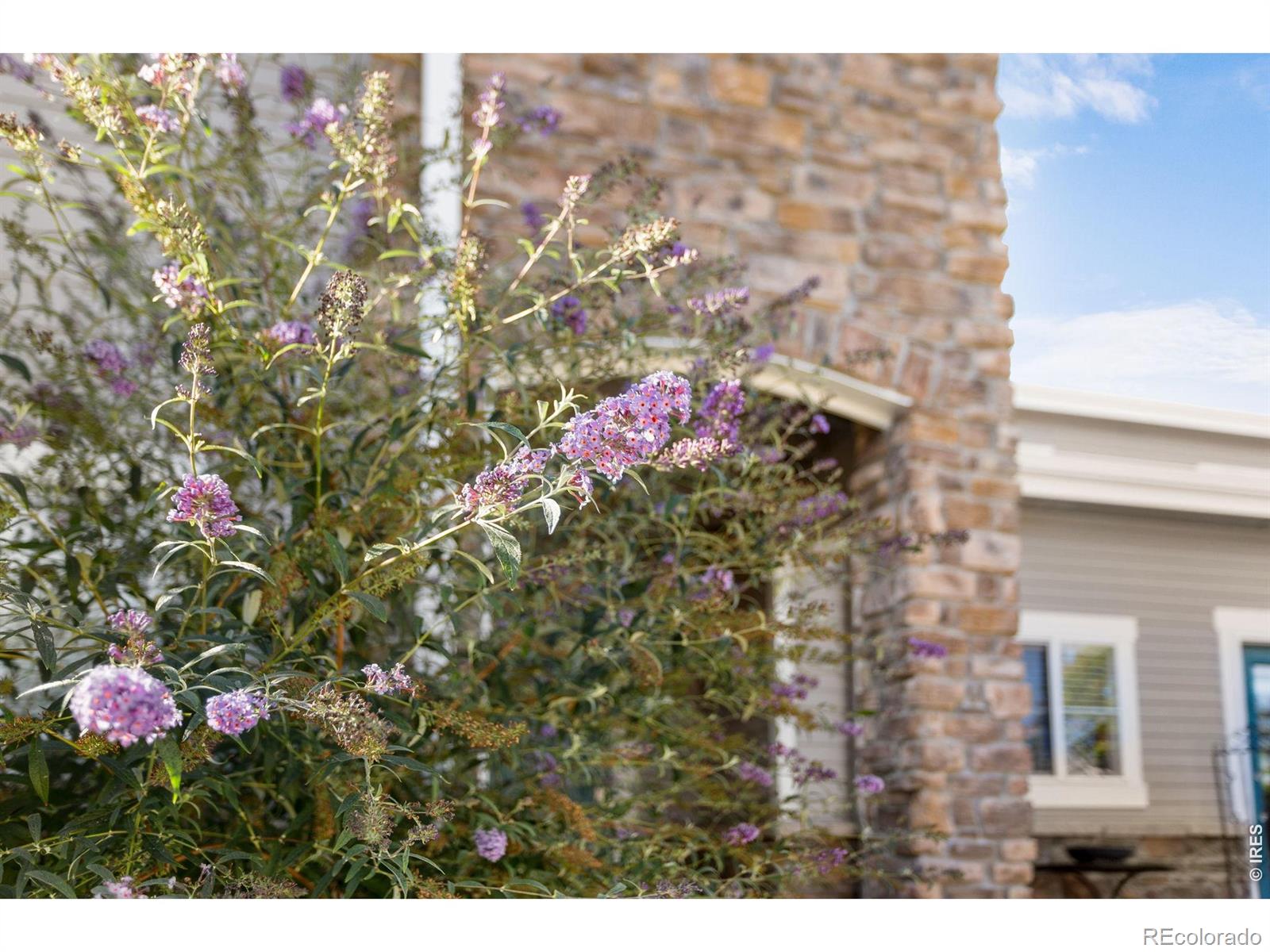 MLS Image #7 for 5044  cinquefoil lane,fort collins, Colorado