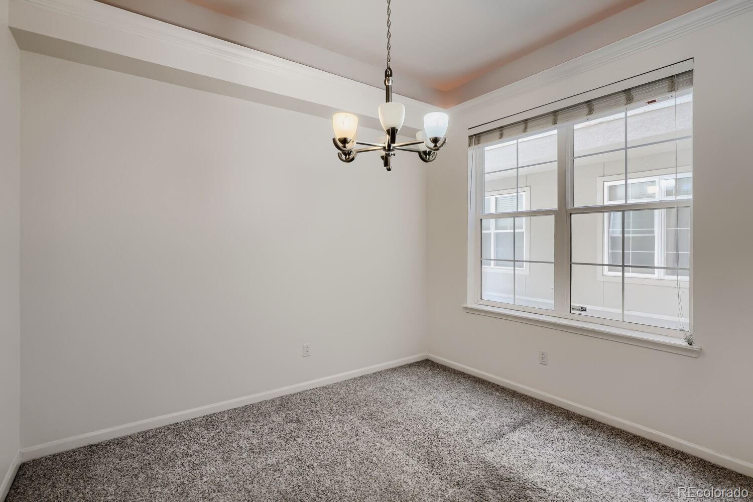 MLS Image #9 for 1489 n steele street,denver, Colorado