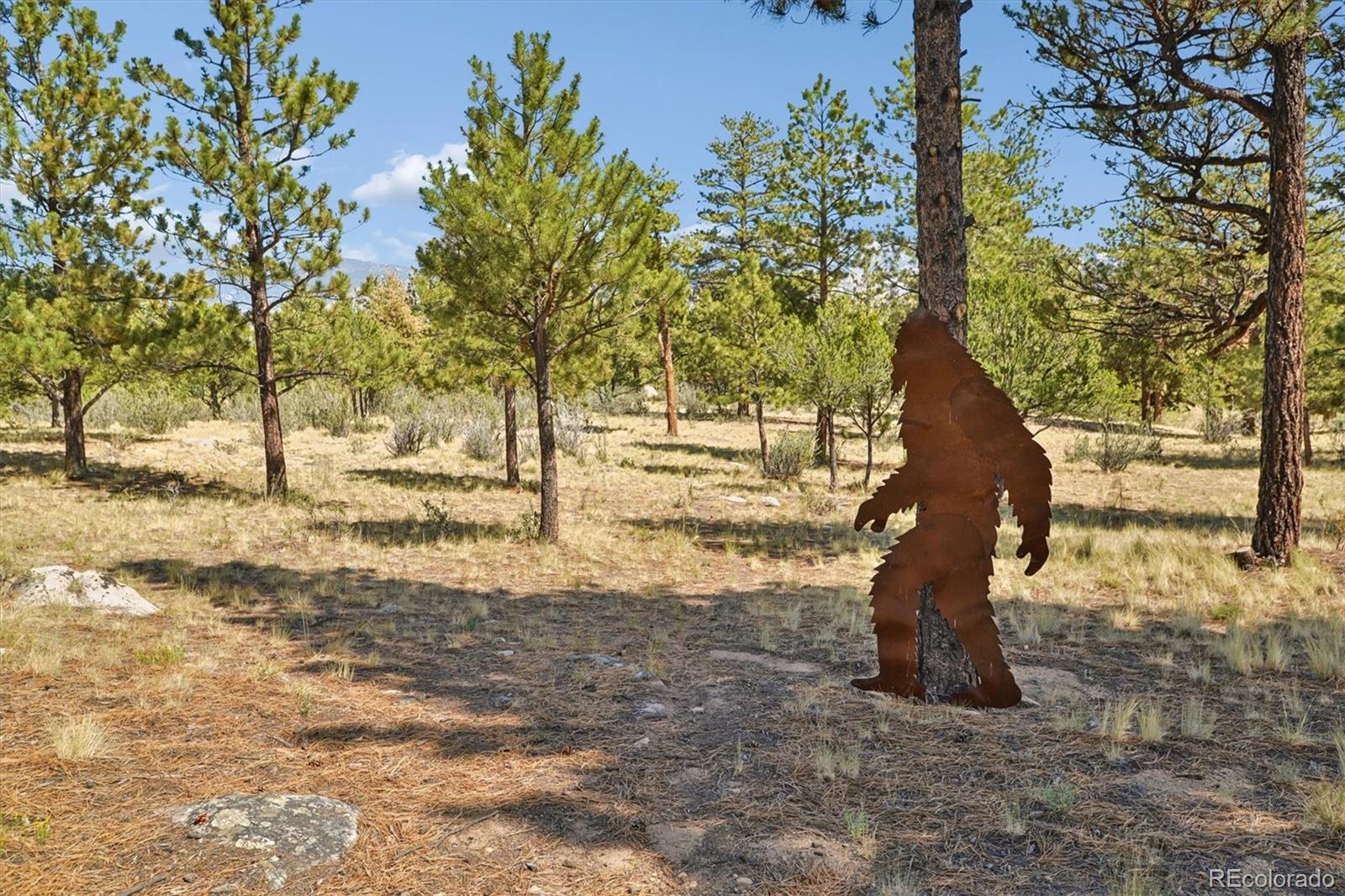 MLS Image #40 for 30455  pine glen court,buena vista, Colorado