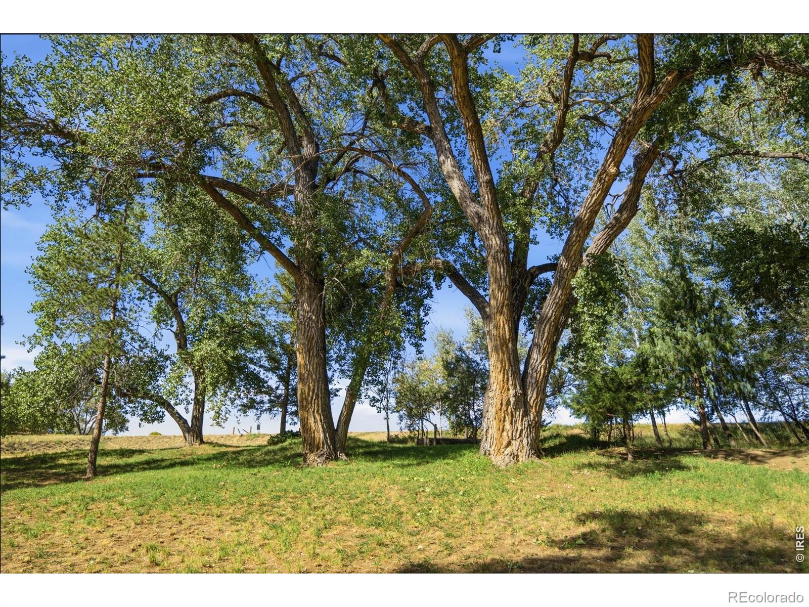 MLS Image #40 for 1310  country club road,fort collins, Colorado