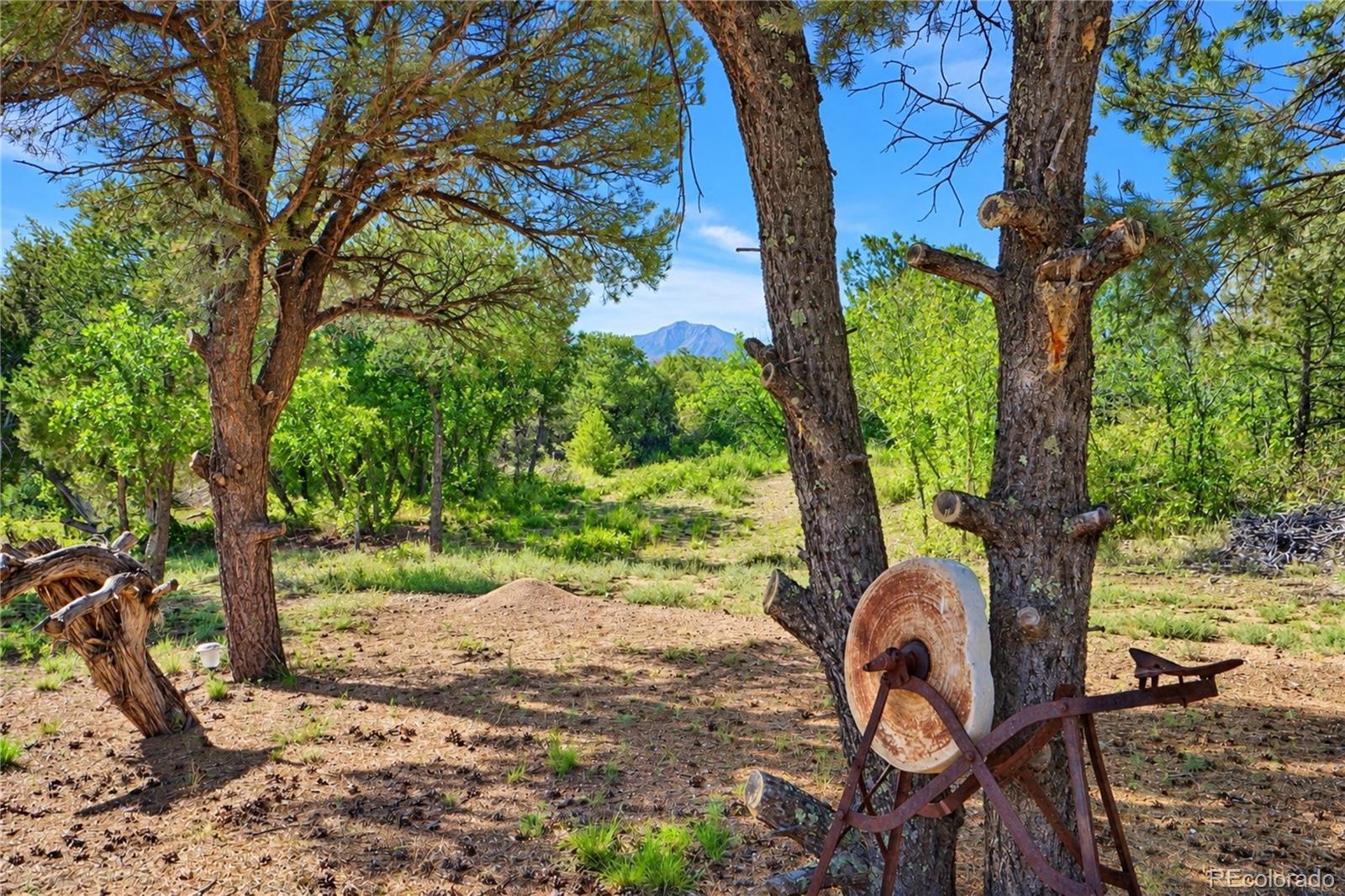 MLS Image #42 for 2592  comanche drive,walsenburg, Colorado