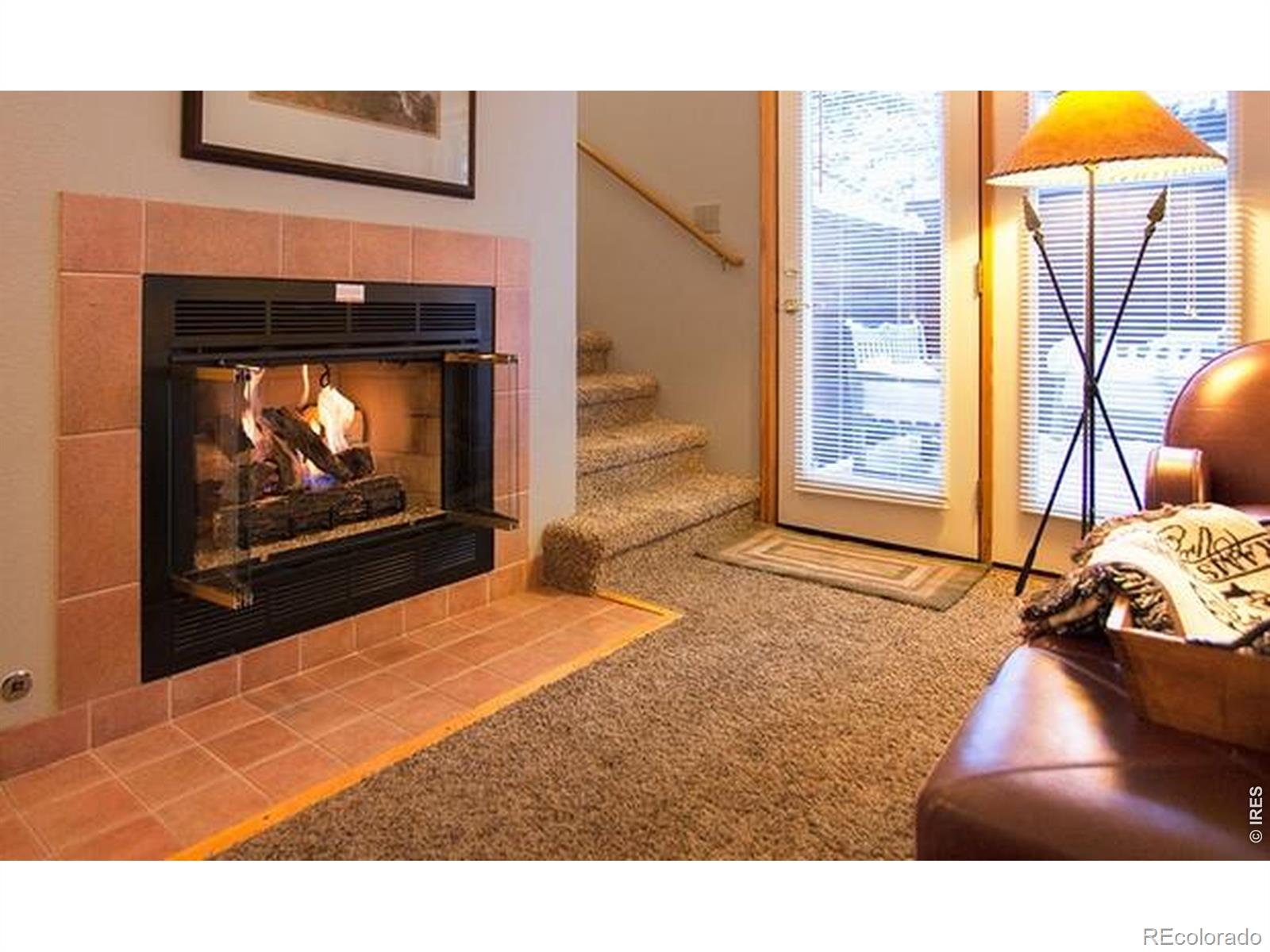MLS Image #1 for 1565  highway 66 ,estes park, Colorado