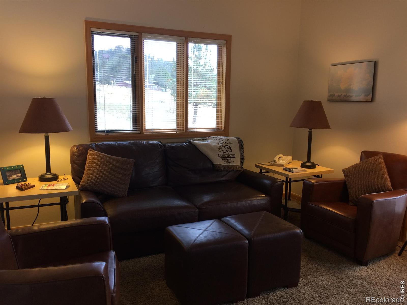 MLS Image #3 for 1565  highway 66 ,estes park, Colorado