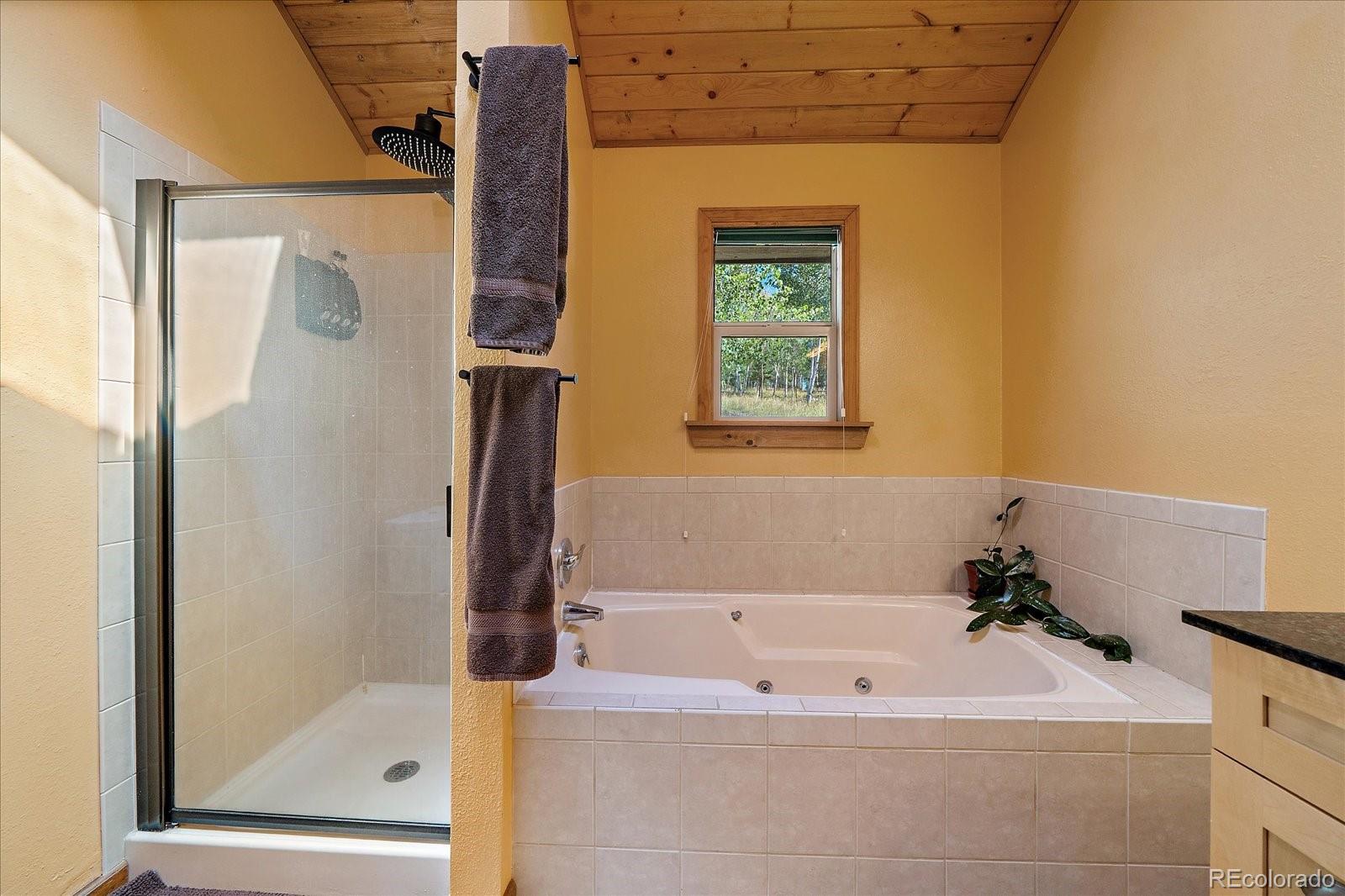 MLS Image #12 for 11574  green court,conifer, Colorado