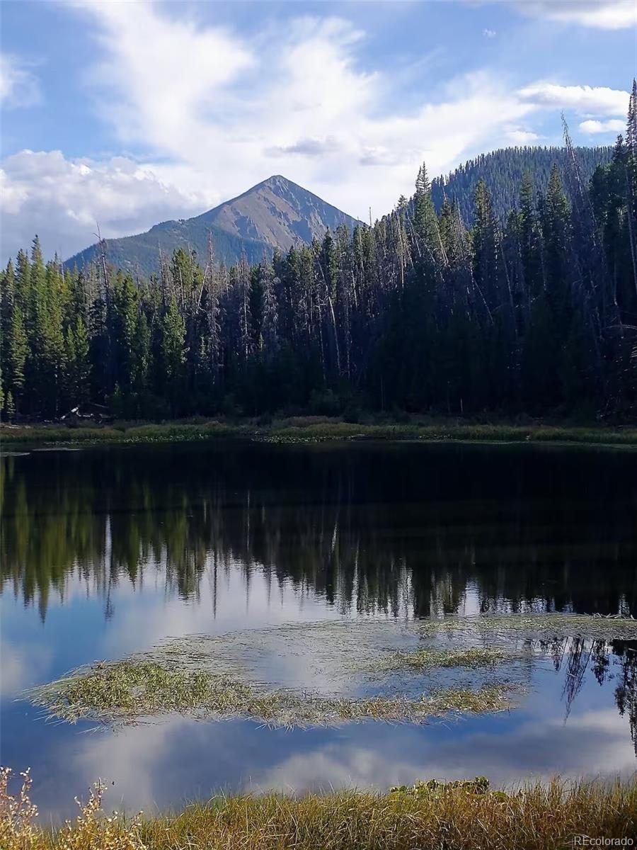 MLS Image #13 for 9876  ryan gulch road,silverthorne, Colorado