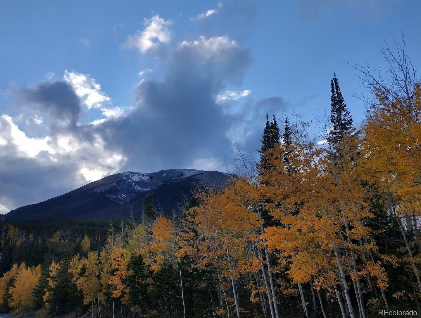 MLS Image #20 for 9876  ryan gulch road,silverthorne, Colorado