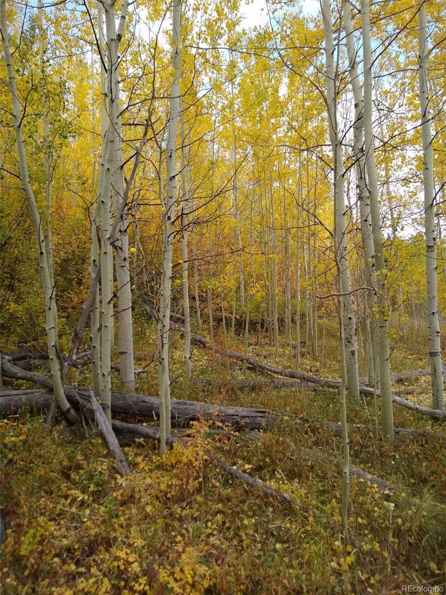 MLS Image #21 for 9876  ryan gulch road,silverthorne, Colorado