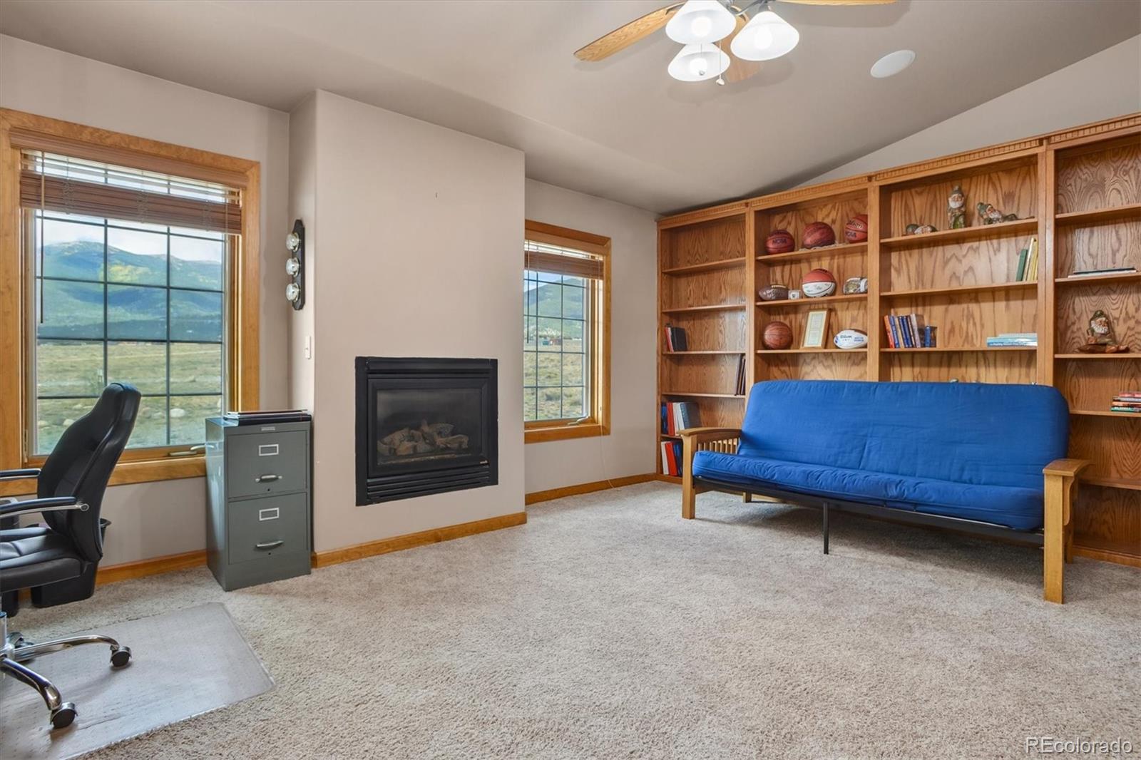 MLS Image #12 for 30695  county road 361 ,buena vista, Colorado